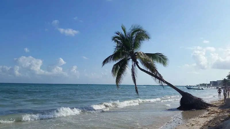 Hotel Alquimia By 5Th Avenue Realty Group Playa del Carmen
