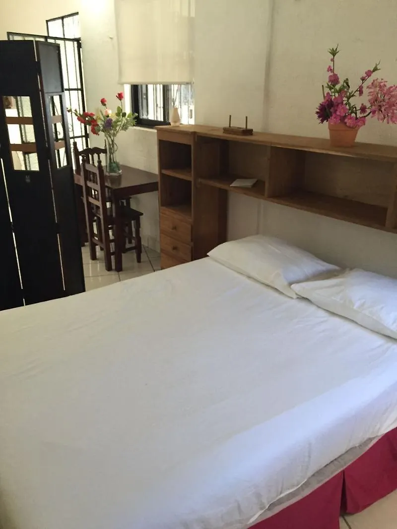 Hotel Alquimia By 5Th Avenue Realty Group Playa del Carmen