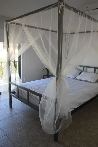 ホテル Alquimia By 5Th Avenue Realty Group プレヤデルカーメン メキシコ